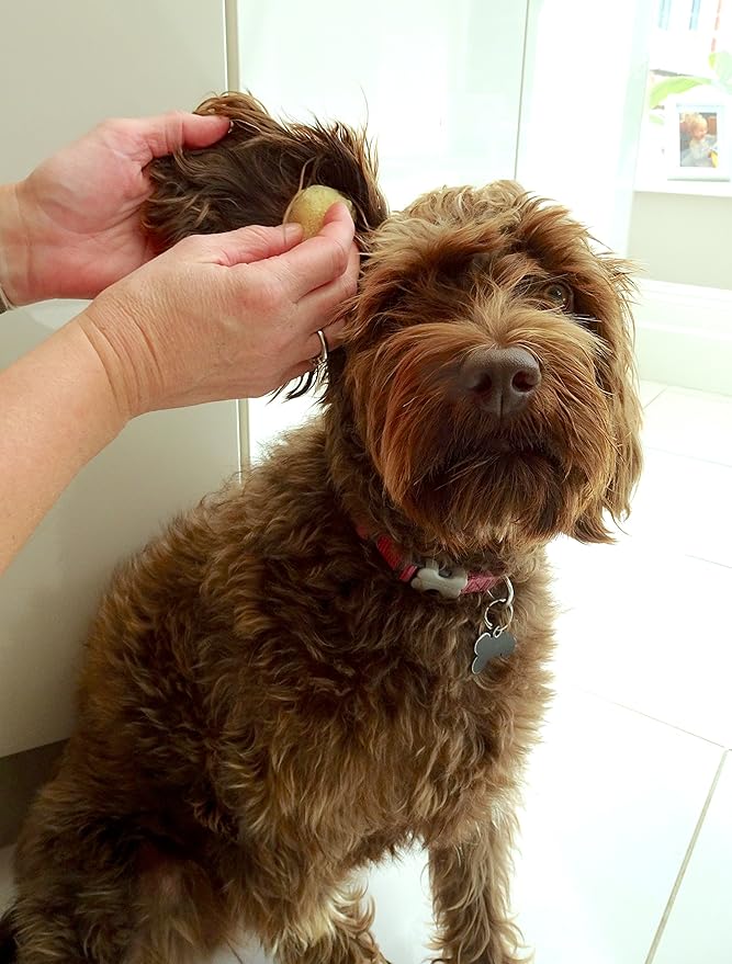 Sea Sponges for Dogs - Luxury Canine Bath Care, for Pet Grooming, Soft & Gentle Pampering