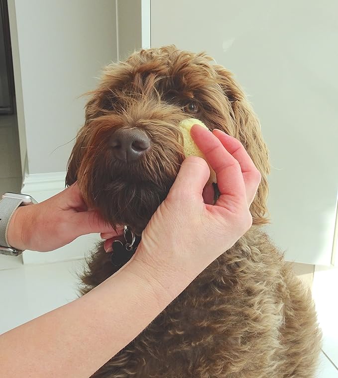 Sea Sponges for Dogs - Luxury Canine Bath Care, for Pet Grooming, Soft & Gentle Pampering