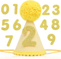 Pet Birthday Hat with Interchangeable Numbers 1-10 | Adjustable Pet Party Cone Hat for Dogs & Cats | Puppy Birthday Photo Props for 1st to 10th Birthday Celebrations (Yellow Birthday Pet Hat)