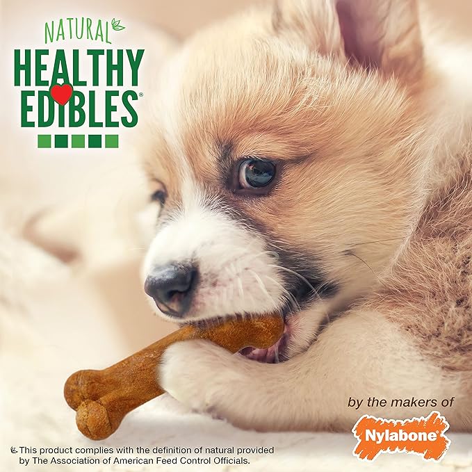Nylabone Healthy Edibles Natural Puppy Chews Long Lasting Treats for Puppies,Turkey & Sweet Potato Flavor,X-Small/Petite,16 Count (Pack of 2)