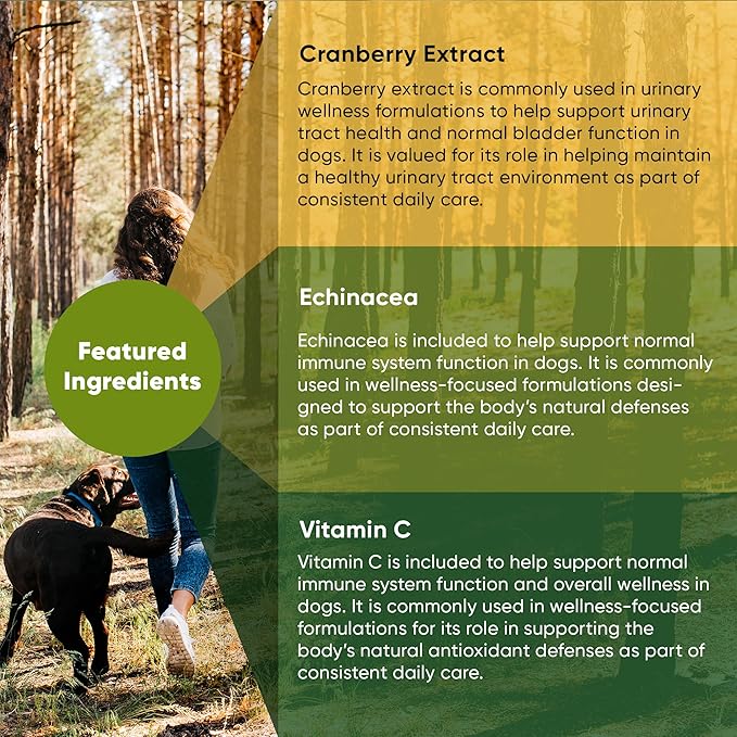 Rooted Owl Urinary Support - Echinacea and Cranberry Supplement for Dogs - Dog UTI Prevention - 60/ct