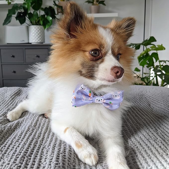 Huxley & Kent Pet Bow Tie for Dogs & Cats - Spring Easter Adjustable Hook & Loop Collar Accessory - Cute & Comfortable for Holidays & Celebrations - Funny Bunny, Large
