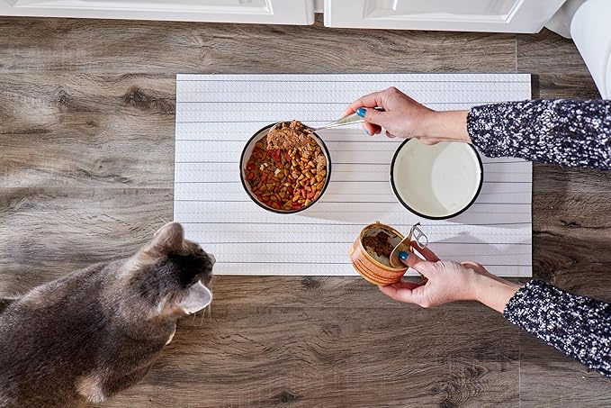 Pearhead Ceramic Cat Bowl – Cute Cat Face Water & Food Dish, Wide Shallow Whisker-Friendly Design for Kittens & Small/Medium Cats, Heavy Non-Slip Pet Feeding Bowl 2-Cup (Pack of 2)