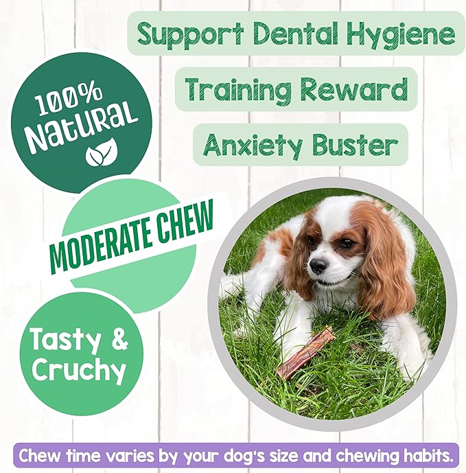 Nature Gnaws Beef Gullet Chews for Small Dogs 4-5" (20 Count) - Natural Beef Jerky Stick Dog Chew Treats - Rawhide Free