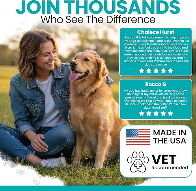 Sea Kelp Powder for Dogs - Thyroid, Dental & Plaque Support, Skin & Coat - Chew + Heal Labs Iodine-Rich 4 oz Kelp Supplement, Digestion & Immune, Seaweed Meal Topper with 5cc Spoon, Made in USA