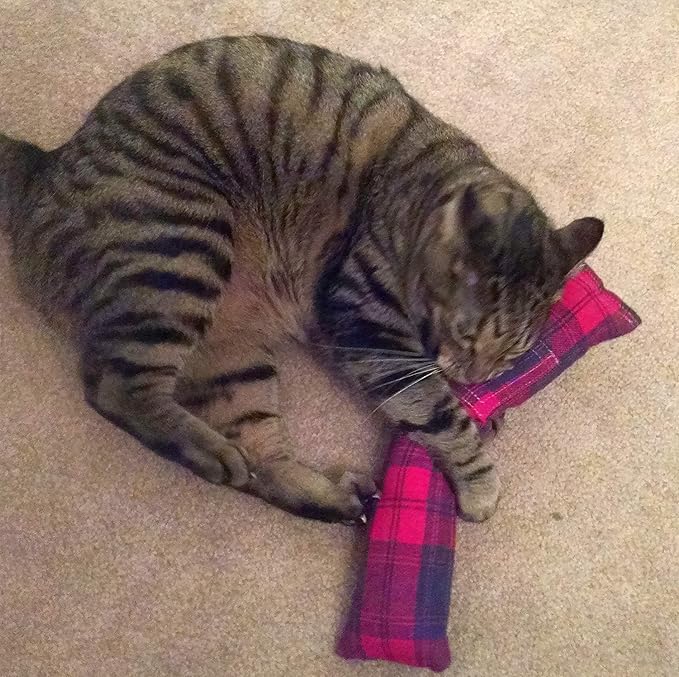 Refillable 15" Catnip Cat Kicker Toy Filled with 1 oz Canadian Catnip, Red Flannel