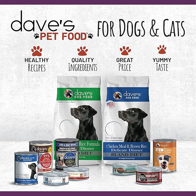Dave's Pet Food Grain Free Wet Cat Food (Shredded Salmon in Gravy), Made in Canada Naturally Healthy Canned Cat Food, Added Vitamins & Minerals, Wheat, GMO & Gluten-Free, 5.5 oz (24 Pack)