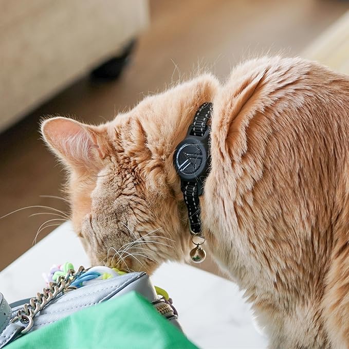Tile Sticker Holder Cat Tracking Collar (2024) - Breakaway, Reflective Kitten Collar with Bell and Holding Case for Tile by Life360 (Red)