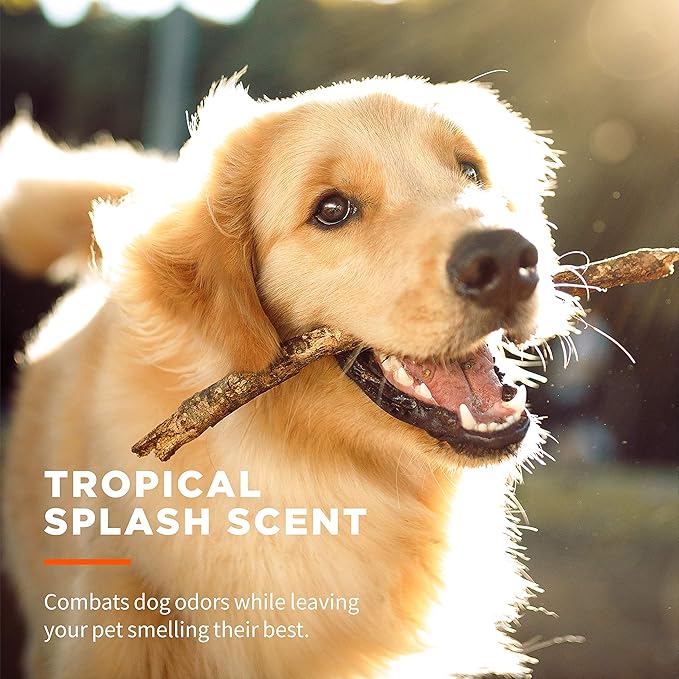 Wet Ones Dog Wipes, Pack of 2, 30 Count Total | Paw & Tushie | Tropical Splash Scent | Wet Lock Seal Pouch | With Chamomile