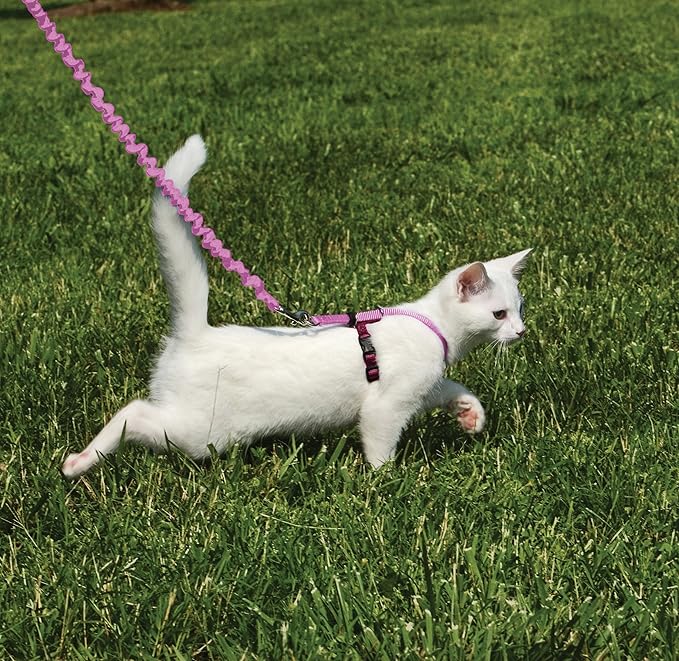 PetSafe Come With Me Kitty Cat Harness & Bungee Leash - Comfortable Cat Harness with Lightweight Bungee Leash for Outdoor Fun - More Secure Walks - Small - Dusty Rose