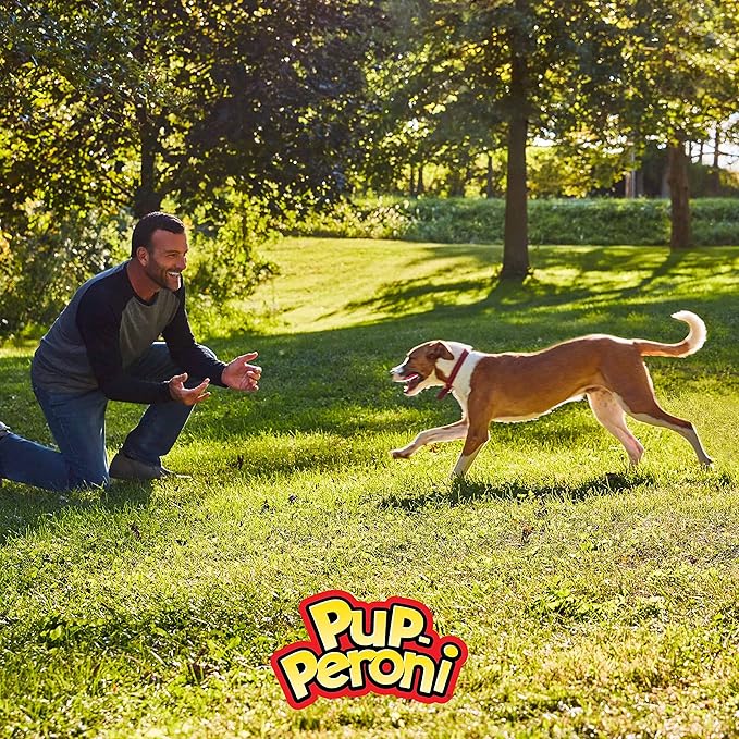 Pup-Peroni Dog Treats, Original Beef Flavor, 38 Ounce, Made with Real Beef (Pack of 2)