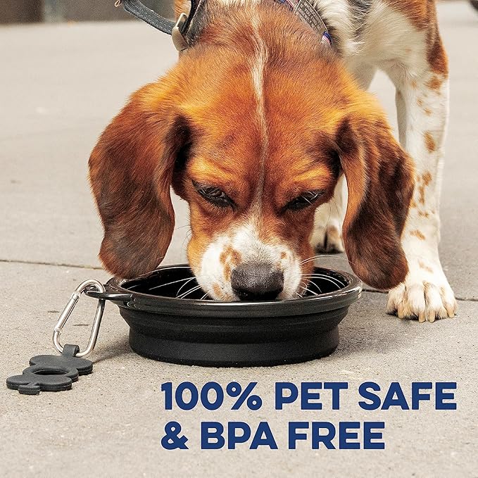 Bonza Collapsible Dog Bowls - Large 33 oz, Dog Travel Accessories, Silicone Portable Dogs Bowl & Water Dish with Reinforced Rim & Carabiner for Hiking, Camping, and Car Trips, Moss Green